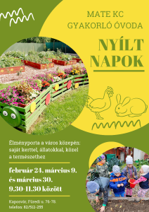 Parancsikon